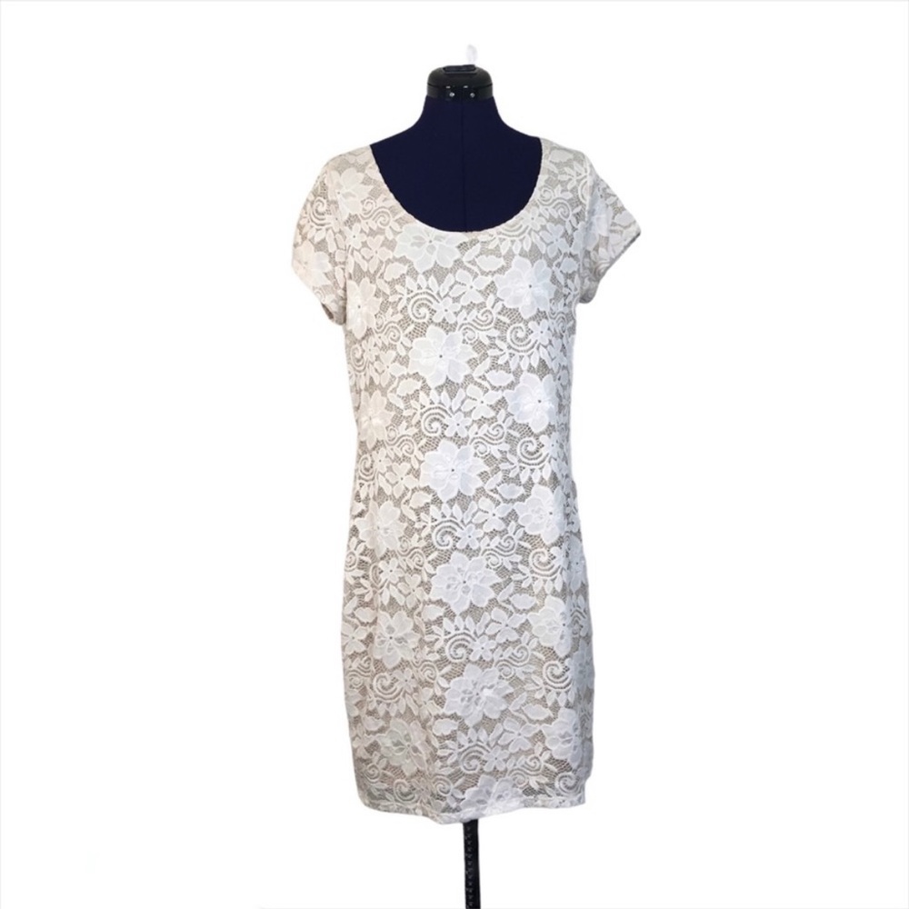 Tiana B. White Beige Lace Short Sleeve Dress